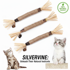 Silvervine Dental Sticks