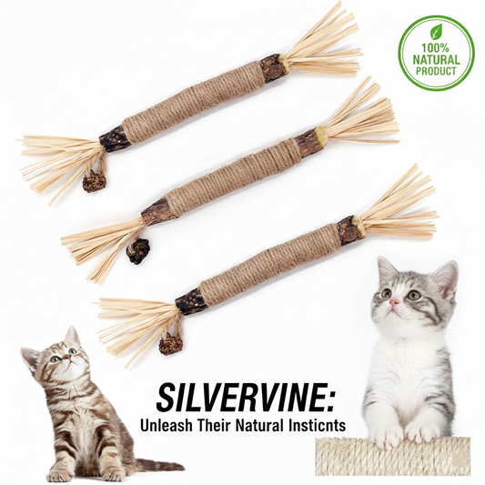 Silvervine Dental Sticks