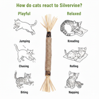 Silvervine Dental Sticks