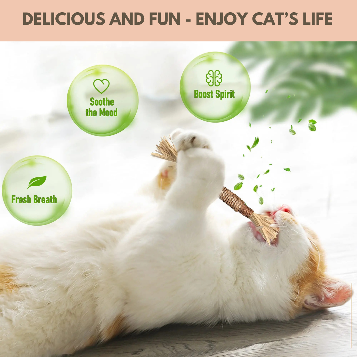 Silvervine Dental Sticks