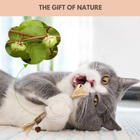 Silvervine Dental Sticks