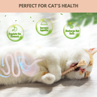 Silvervine Dental Sticks