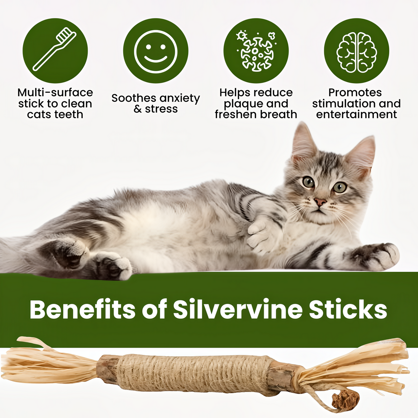 SilverBite™ Dental Sticks