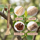 Silvervine Dental Sticks